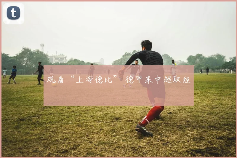 观看“上海德比” 德甲来中超取经