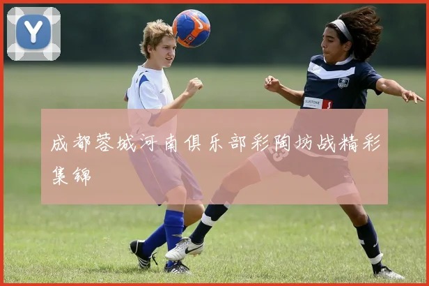 成都蓉城河南俱乐部彩陶坊战精彩集锦