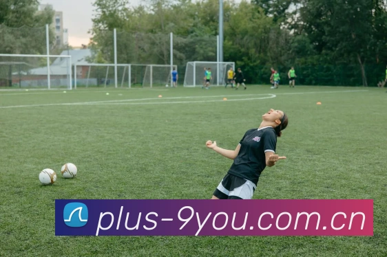 九游体育APP 封面图